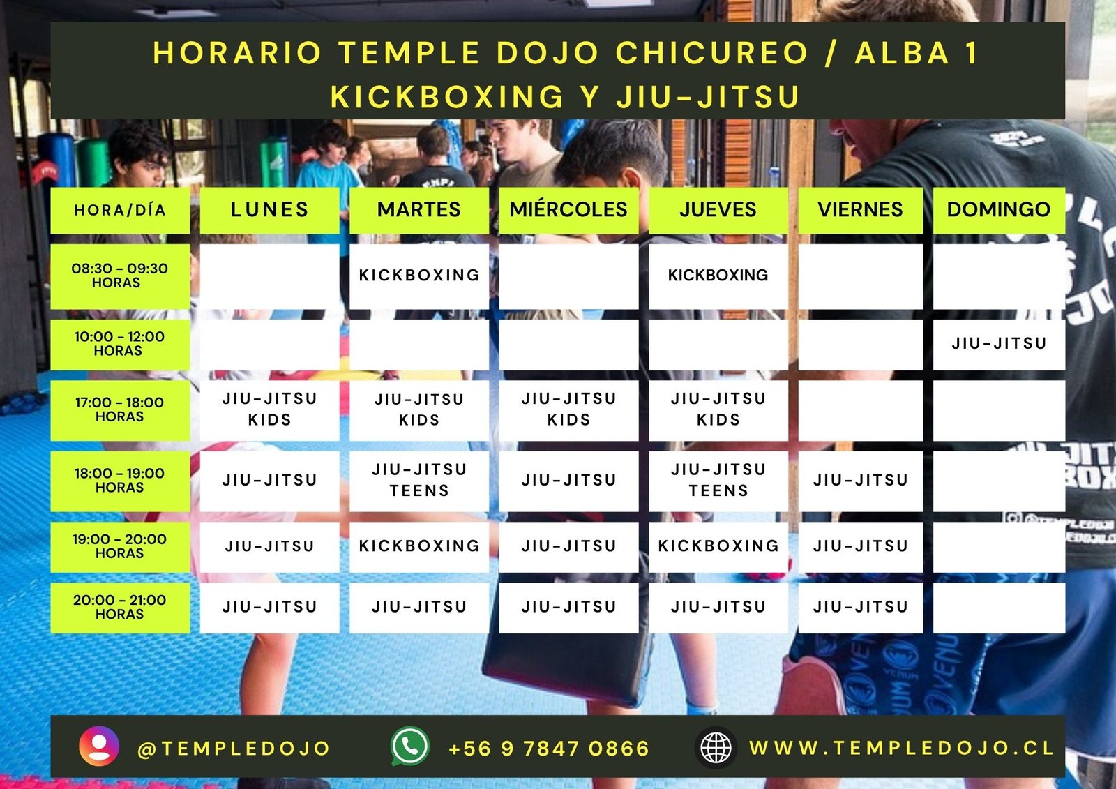 artes marciales en colina y chicureo