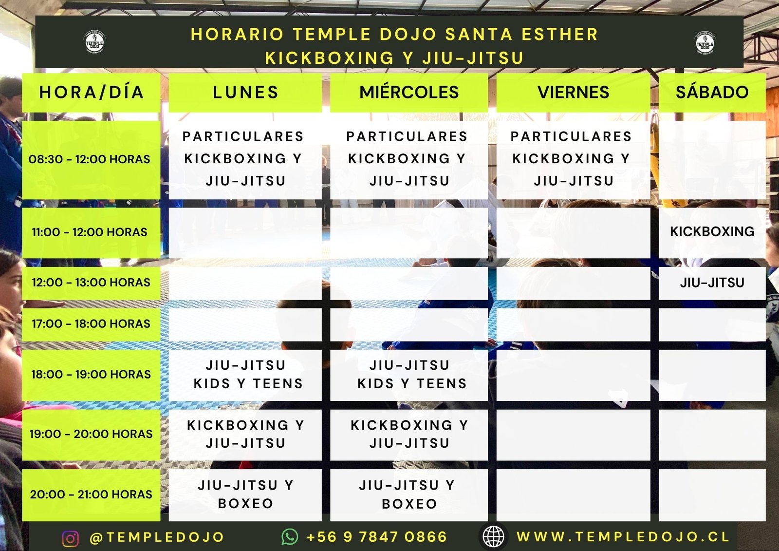 Artes marciales en Colina y Chicureo 